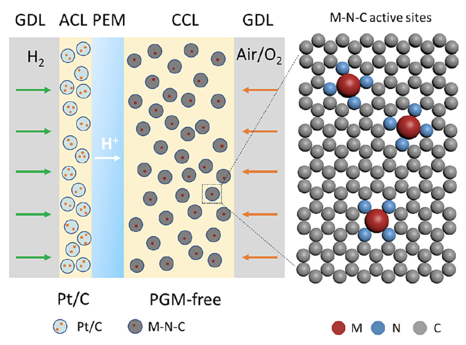 PGM-free catalyst fuel cell modeling research teaser